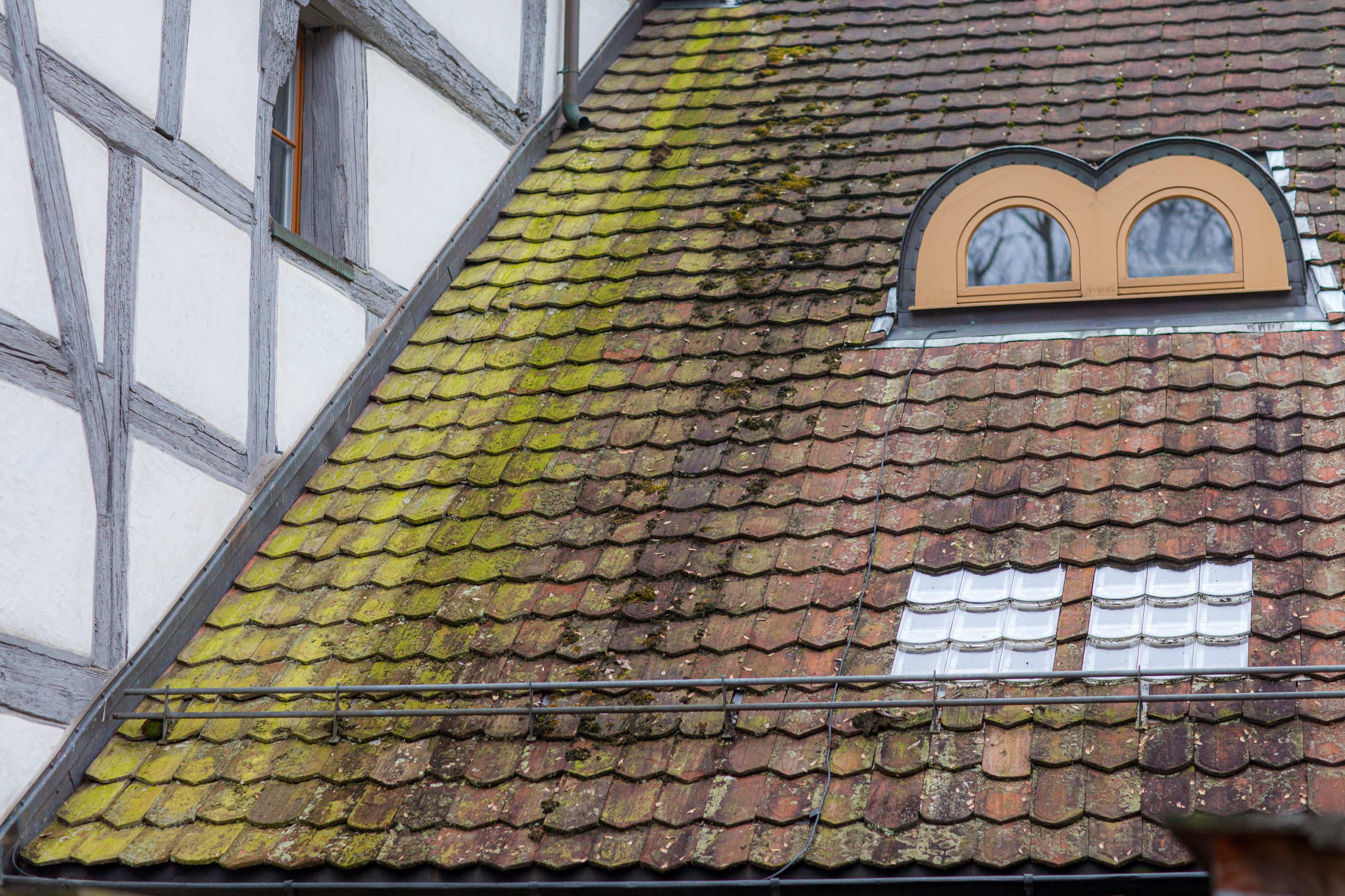 20120225074918 IMG 3425